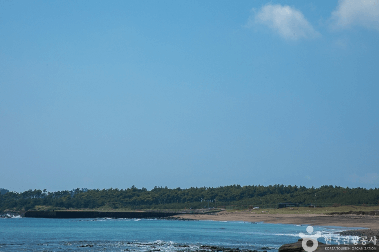 사계해변 (서귀포시)