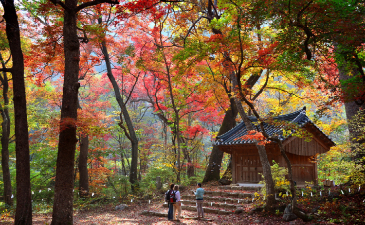치악산 등산코스