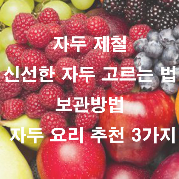 자두 제철 신선한 자두 고르는 법 보관방법 자두 요리 추천 3가지