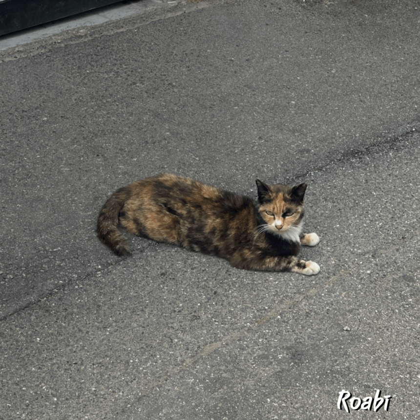 친절한 응대, 기분 좋아지는 공간