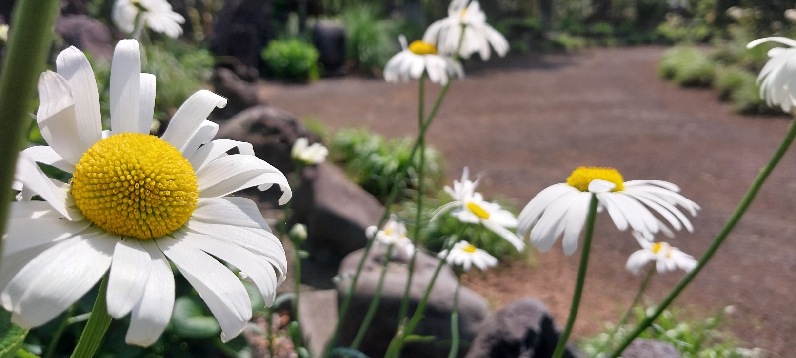 제주 송당 동화마을