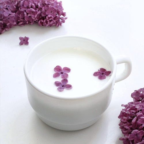 뼈 건강부터 숙면까지, 유제품이 다 했어요!. 유제품 알고 먹기