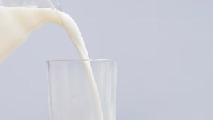 단백질 보충에 좋은 음식