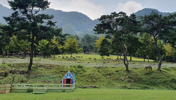 해피초원목장