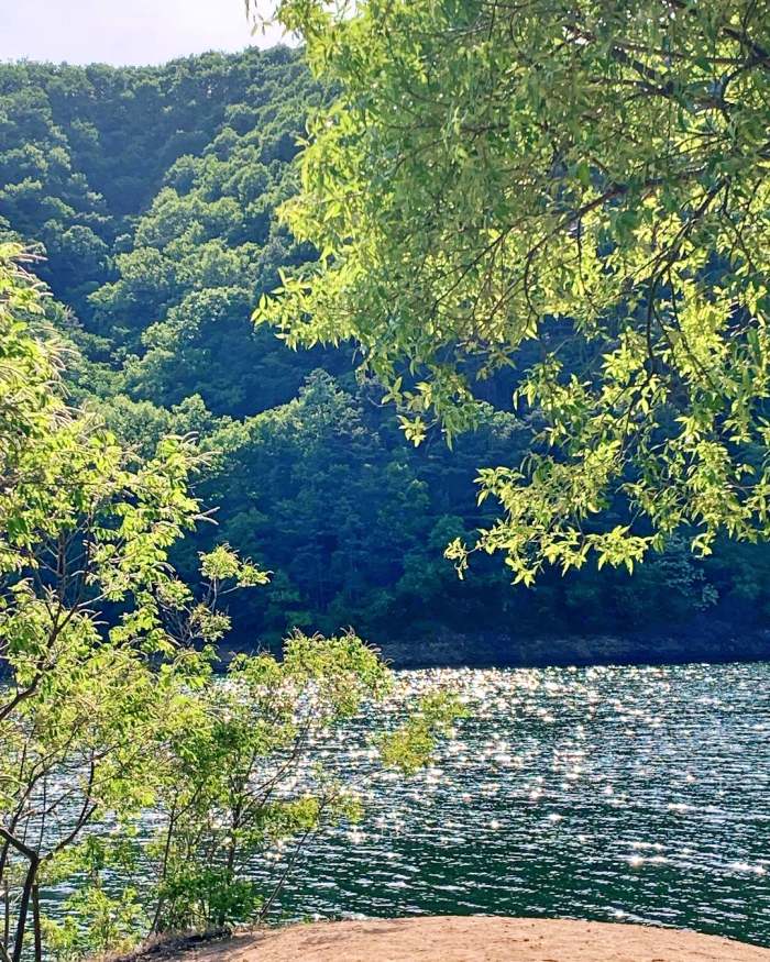 노주현 운영 레스토랑 카페 고르곤졸라 피자 지중해 해산물 파스타 안성 맛집