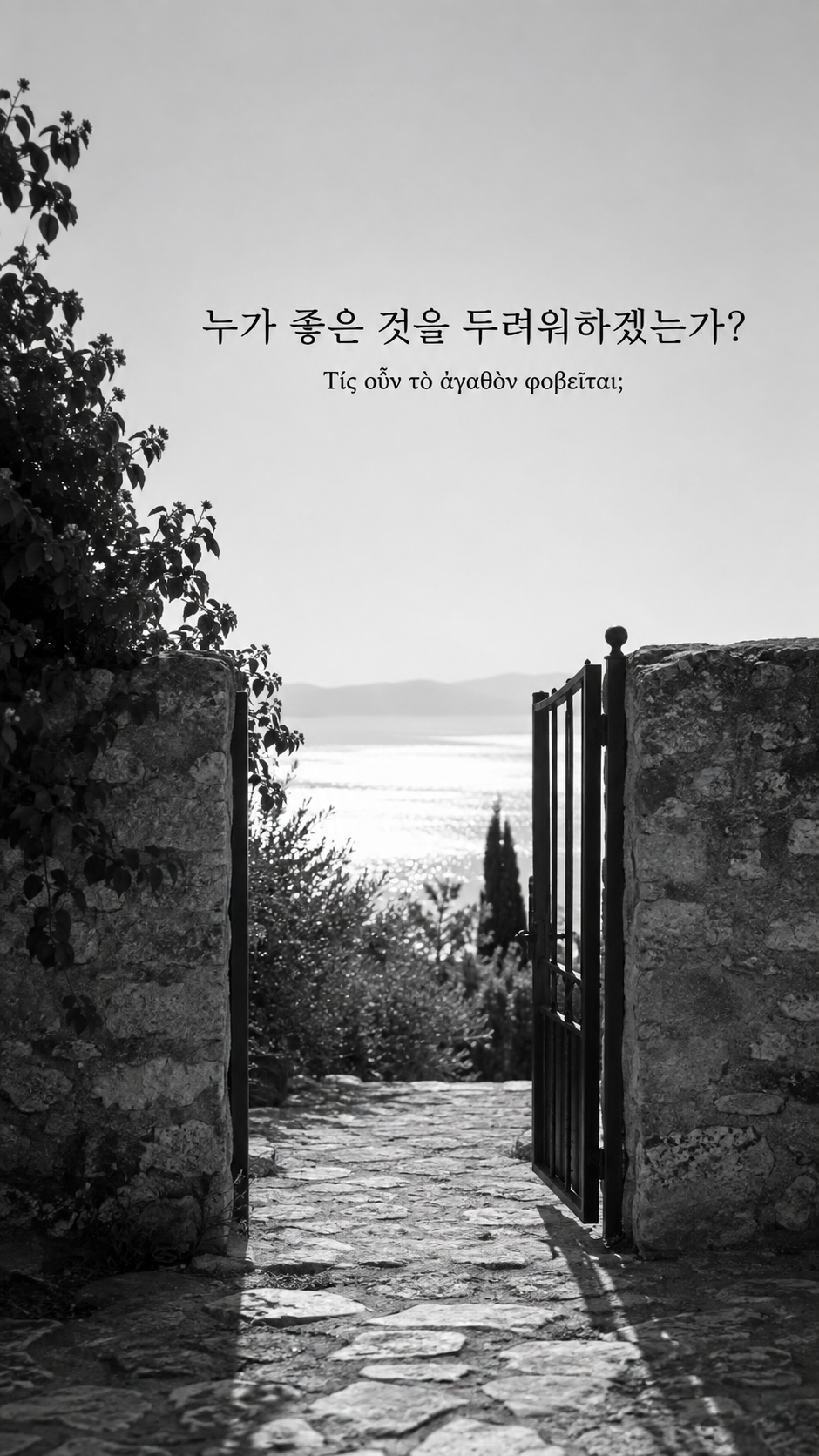 디오게네스 명언 21 누가 좋은 것을 두려워하겠는가? 한글과 그리스어 원문이 담긴 세로 사진