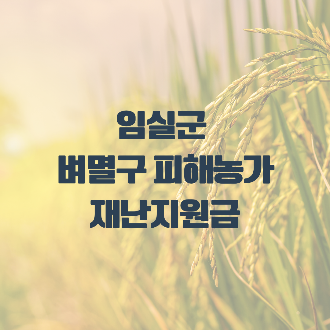 임실군 벼멸구 재난지원금