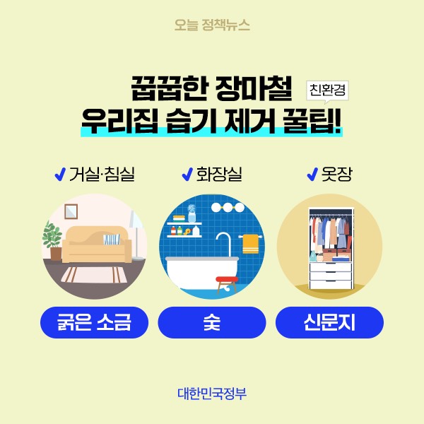 천연 습기 제거 재료 활용법