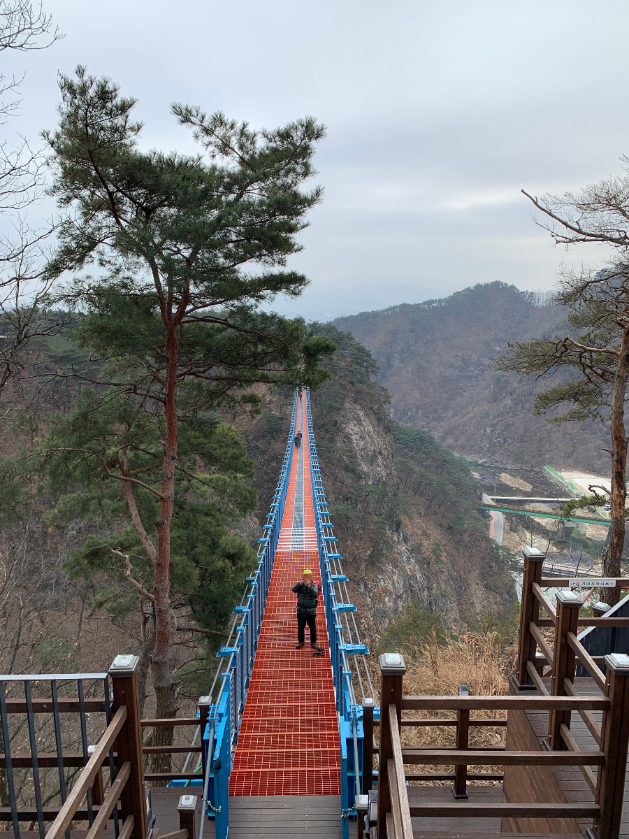 추운 겨울 정선 2박3일 여행 가볼만한 곳 05 - 정선아리랑시장, 회동집, 원주 소금산 출렁다리