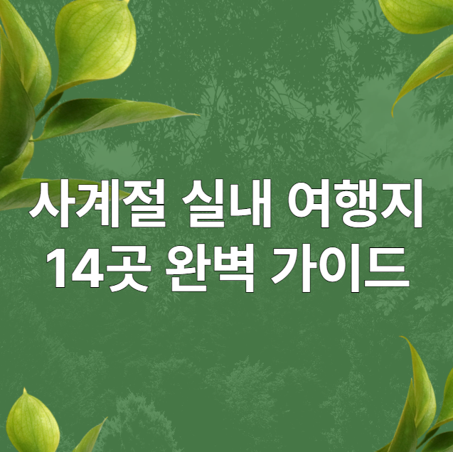 2025년-사계절-실내-여행지-14곳-완벽-가이드