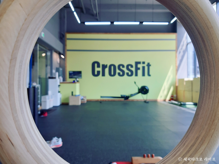 표박사크로스핏