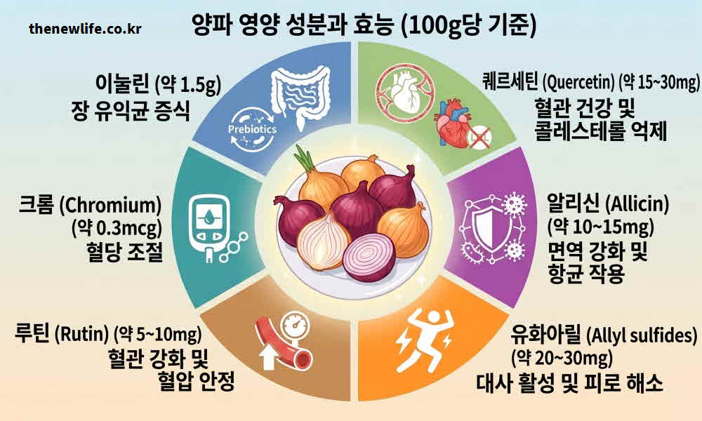 양파 효능 영양성분