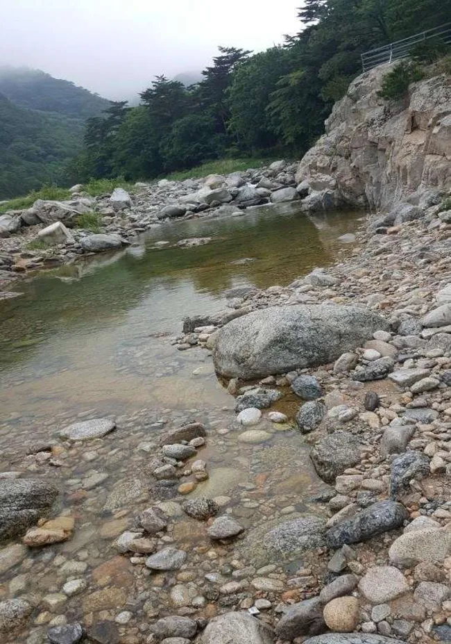 수봉야영장