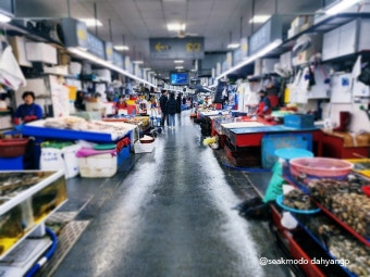 자갈치시장 사진