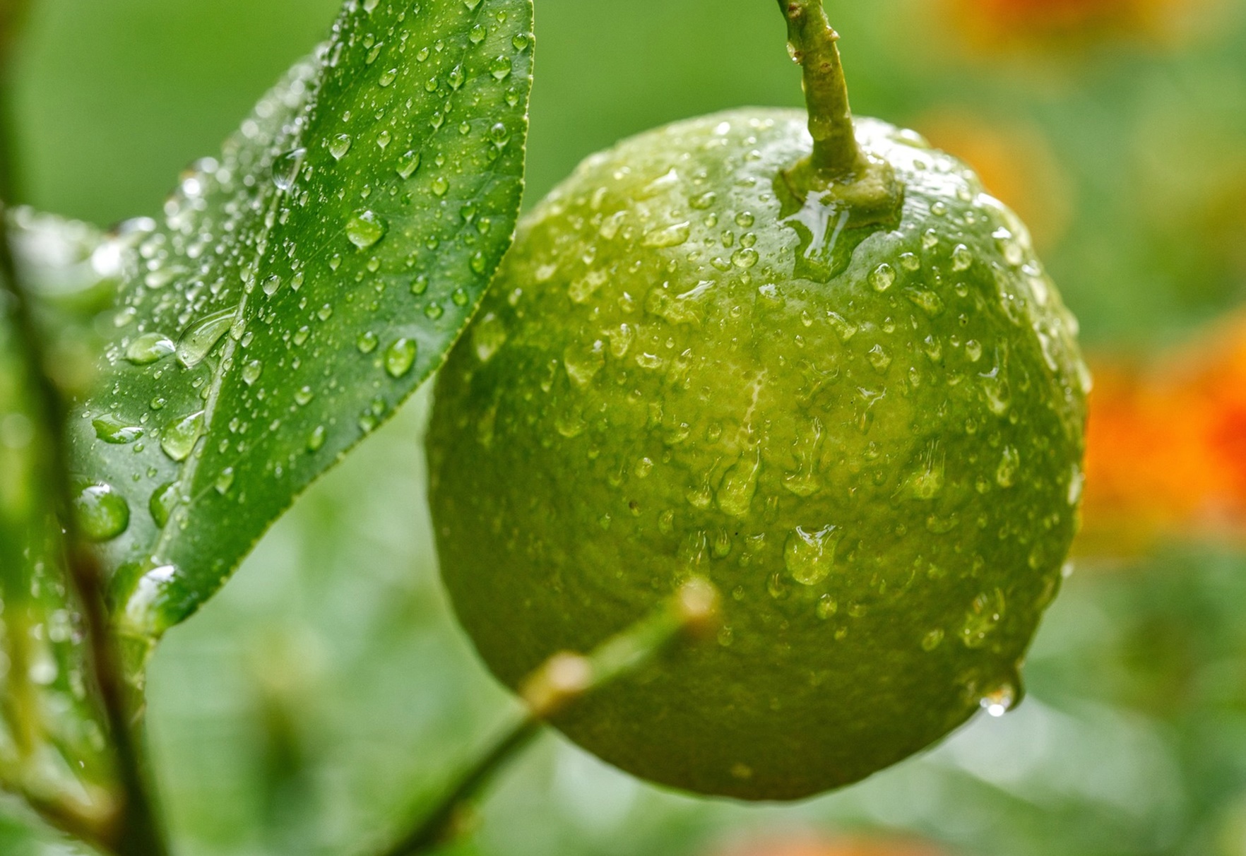 당뇨 전단계에서 가장 먼저 흔들리는 &lsquo;하루 혈당 리듬&rsquo;