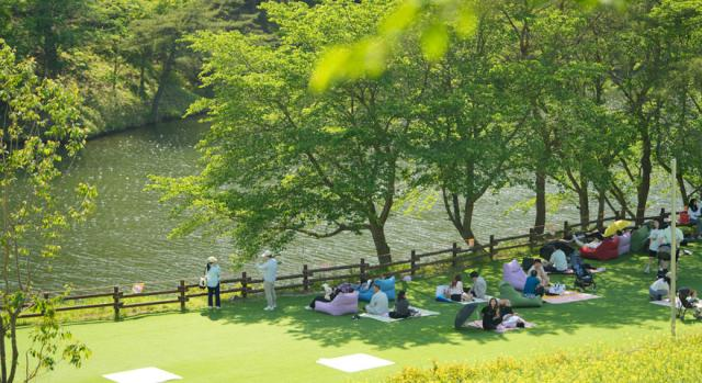 2025 화순 봄꽃 축제