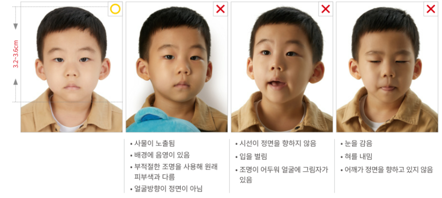 여권 사진 규정