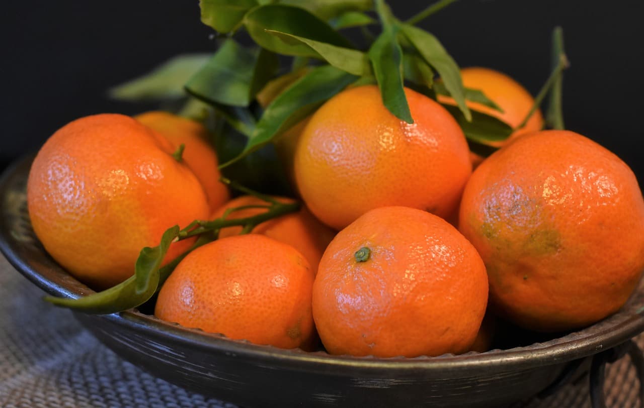 귤 껍질 섬유(Citrus Peel Fiber): 과일 폐기물로 탄생한 친환경 신소재