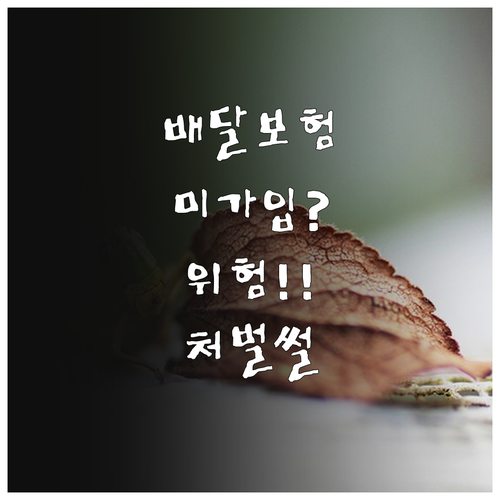 배달 보험 미가입 시 위험과 처벌 내..