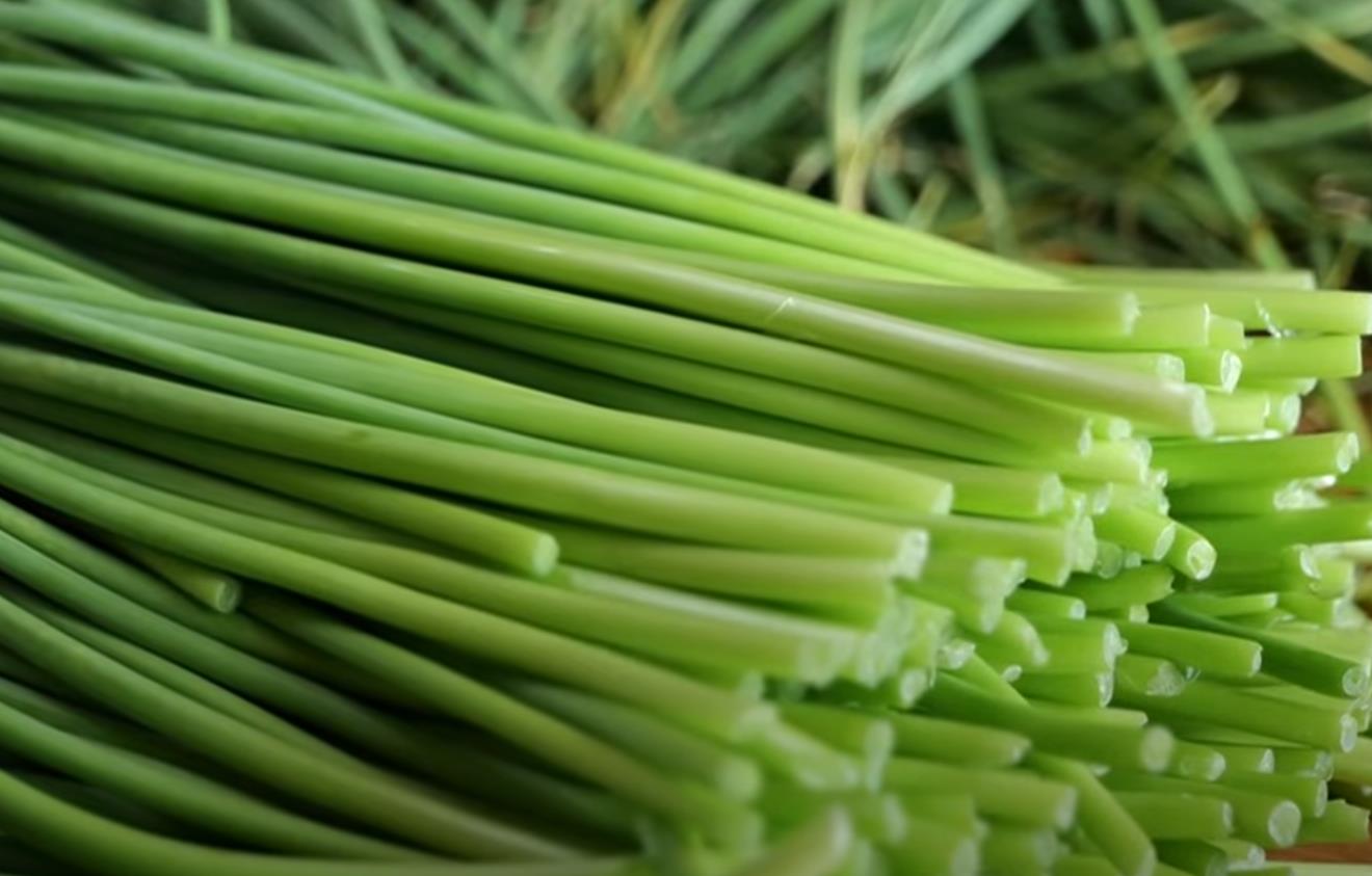 깨끗하게 손질한 6시내고향 창녕 마늘쫑