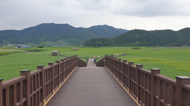 계절별 순천 여행 