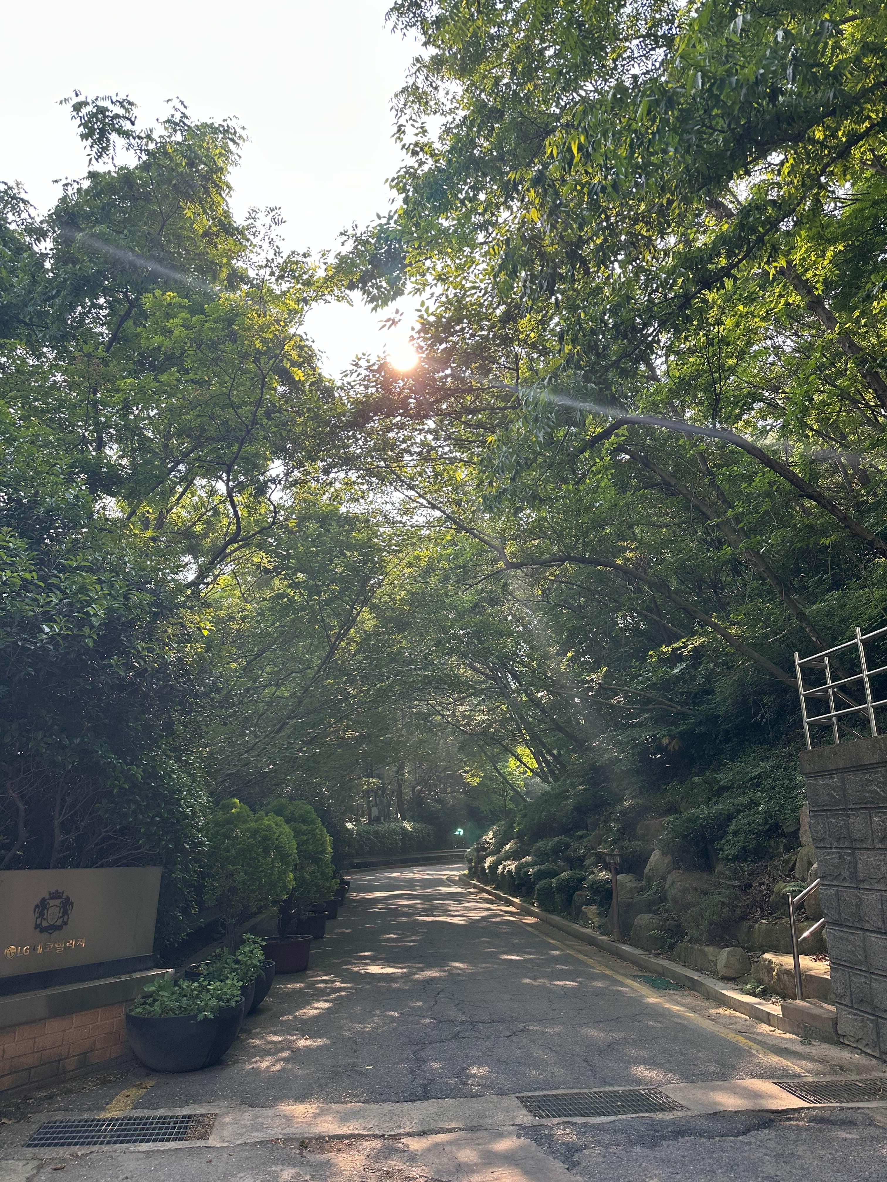 고락산 앞 산책로