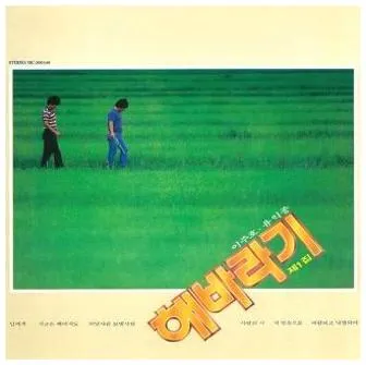 해바라기 행복을주는사람