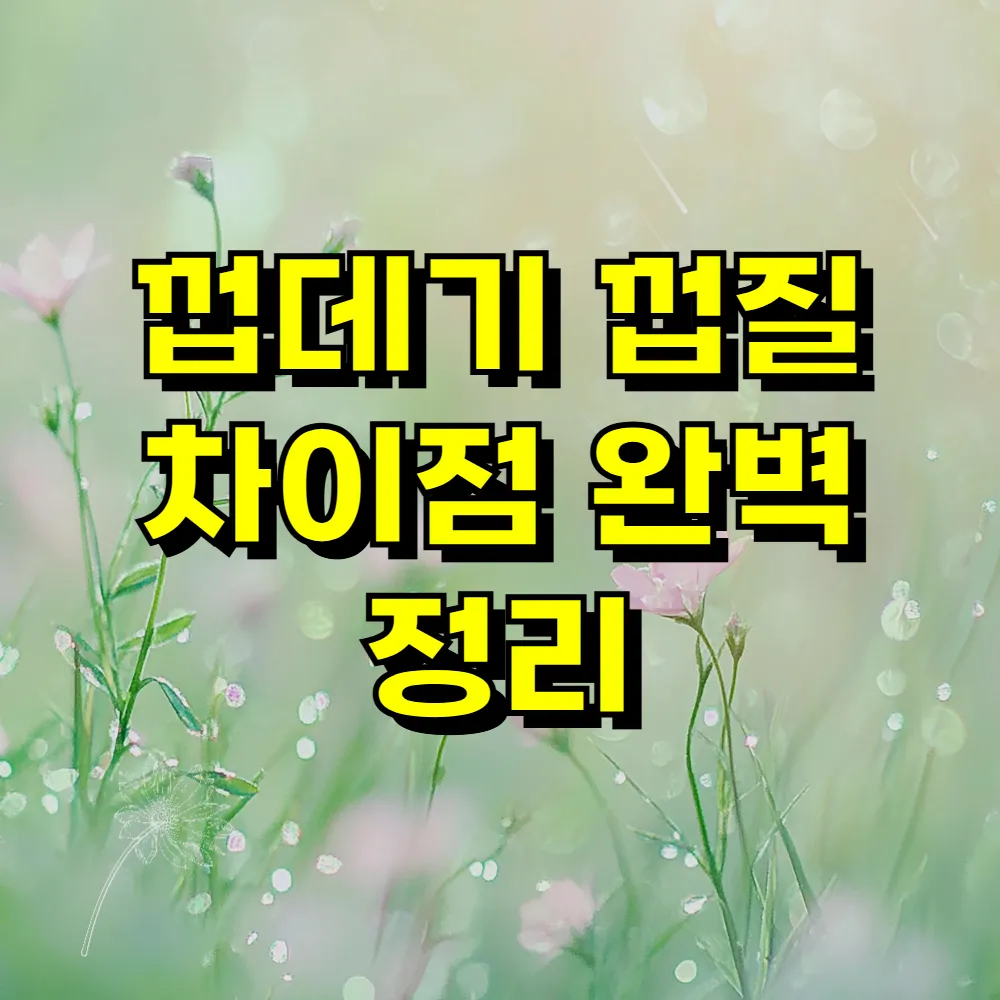 껍데기 껍질 차이점 완벽 정리