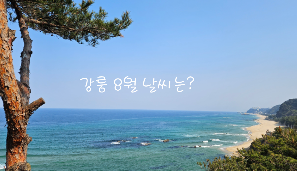 강릉