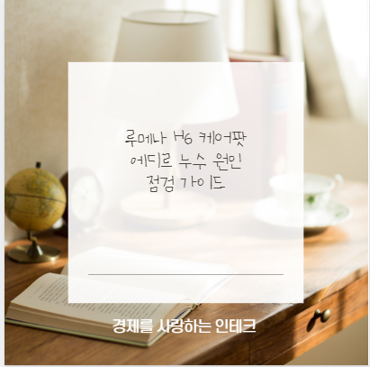 루메나 H6 케어팟 에디르 누수 원인 점검 가이드