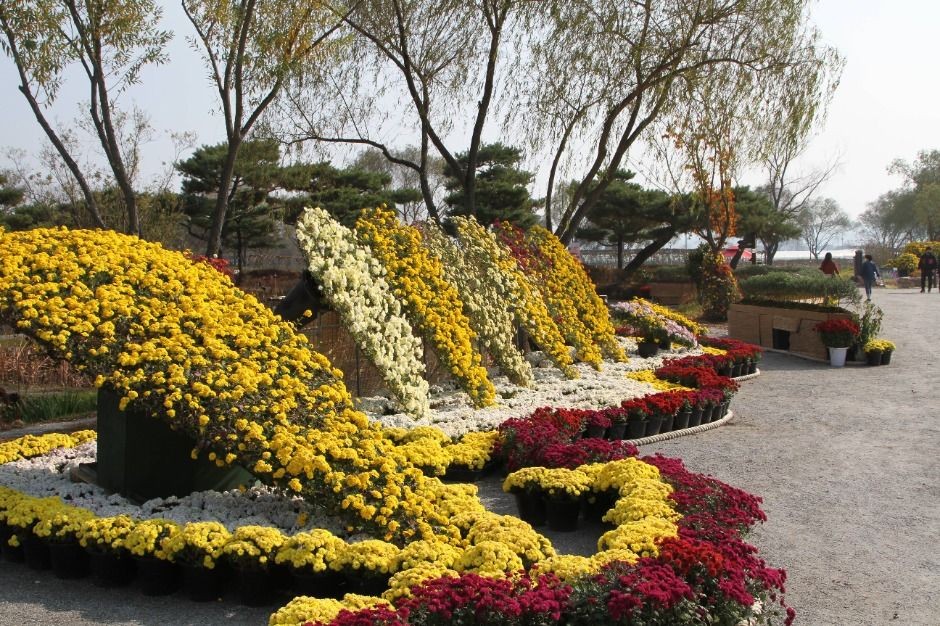 2025 백제고도부여 국화축제 ❘ 일정 &middot; 장소 &middot; 관람 포인트 &middot; 주차 총정리 관련 사진