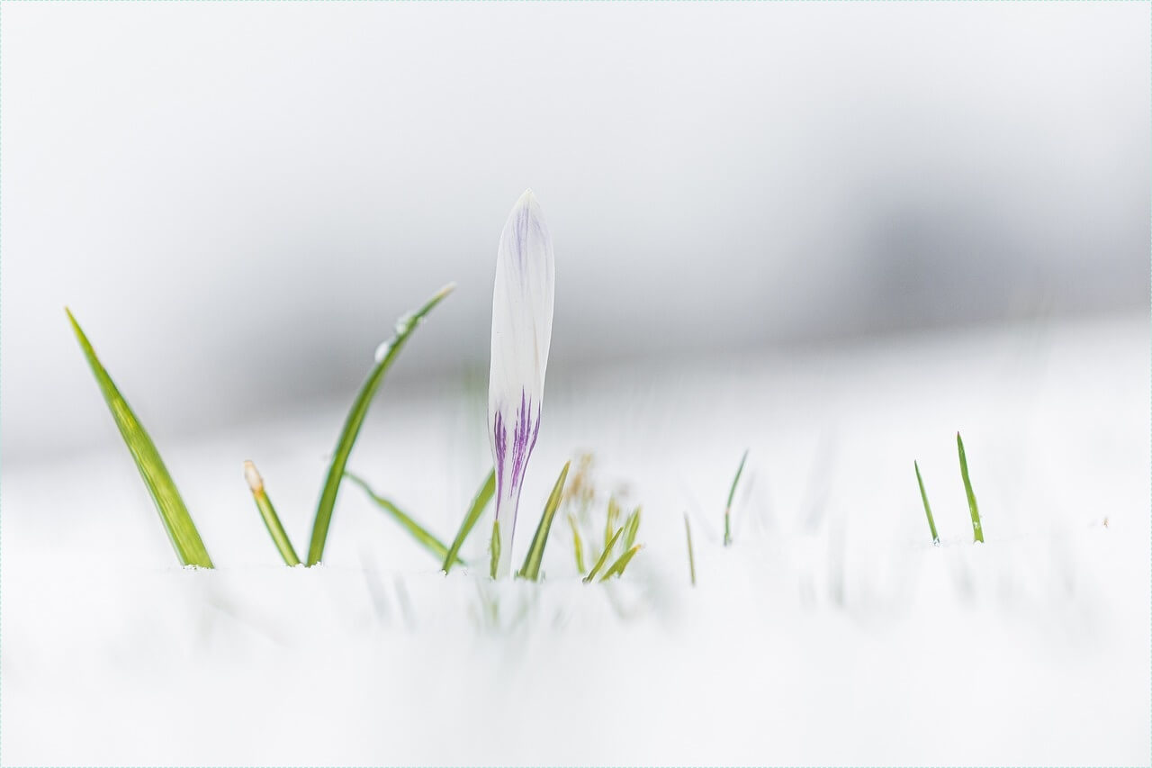 새마을금고 예금금리 가장 높은곳