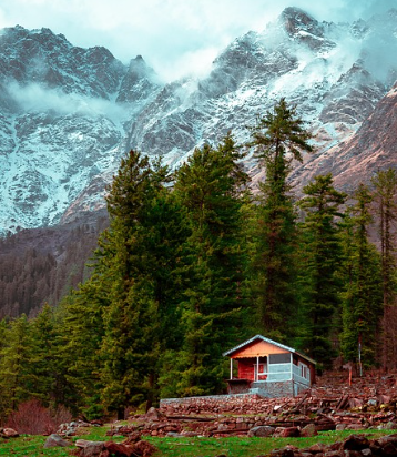 house surrounded by giant trees and mountains