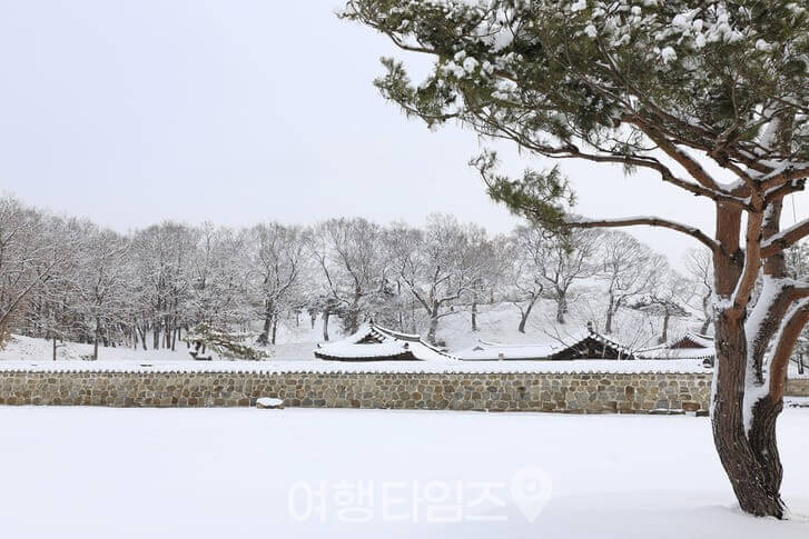 1월에 만나는 서산 해미읍성 설경 여행 고요한 역사 산책