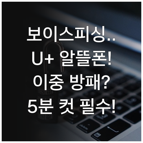 LG U+망 알뜰폰 스팸 보이스피싱 ..