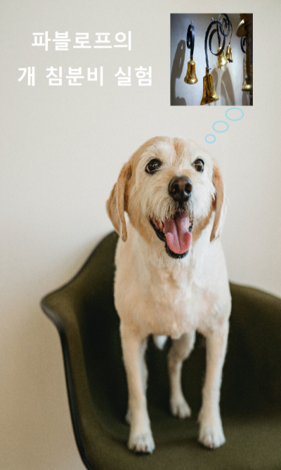 이반 파블로프의 개 침분비에 대한 실험의 사진입니다.