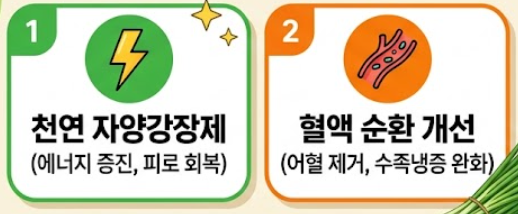 부추 효능