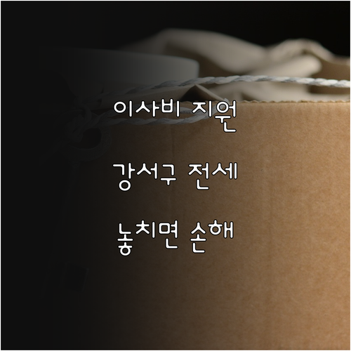 2025 강서구 전세피해 임차인 이사..