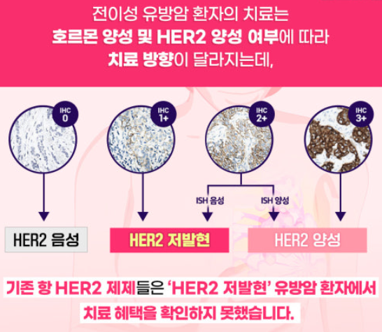 HER2 전이성 유방암 표적 치료제 발전과 효과 관련 이미지
