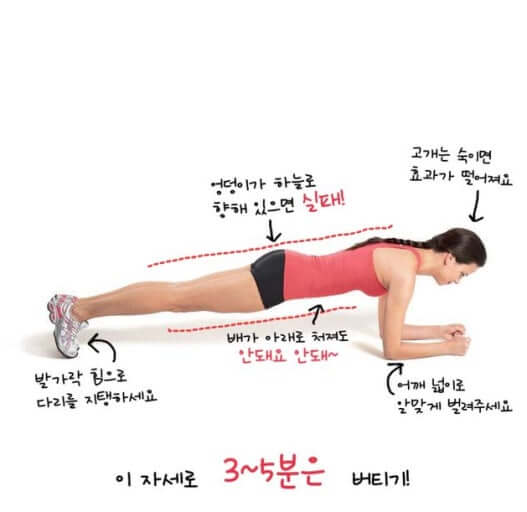 플랭크 자세