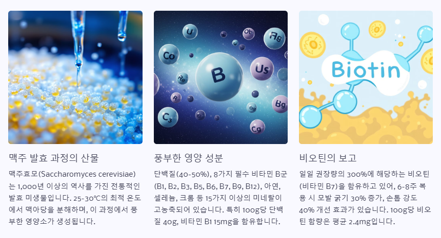 맥주효모란?