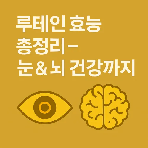 루테인 효능