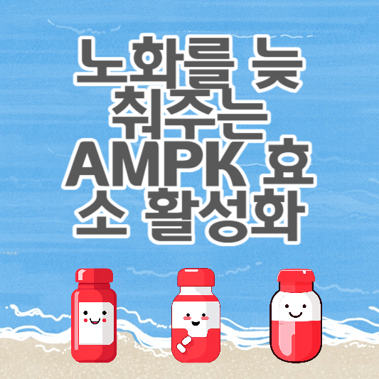 AMPK 효소 활성화