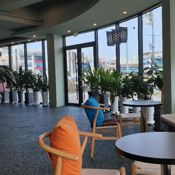 보령 핸드드립 카페 더 브루잉 룸_내부에서 밖을 바라본 모습_ 큰창을 통해 개방감이 느껴진다.