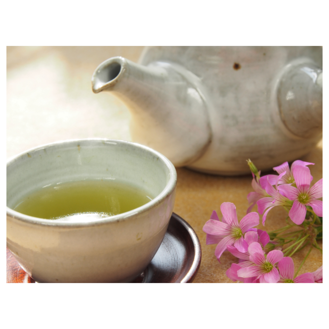 차전자피와 관련된 사진입니다.