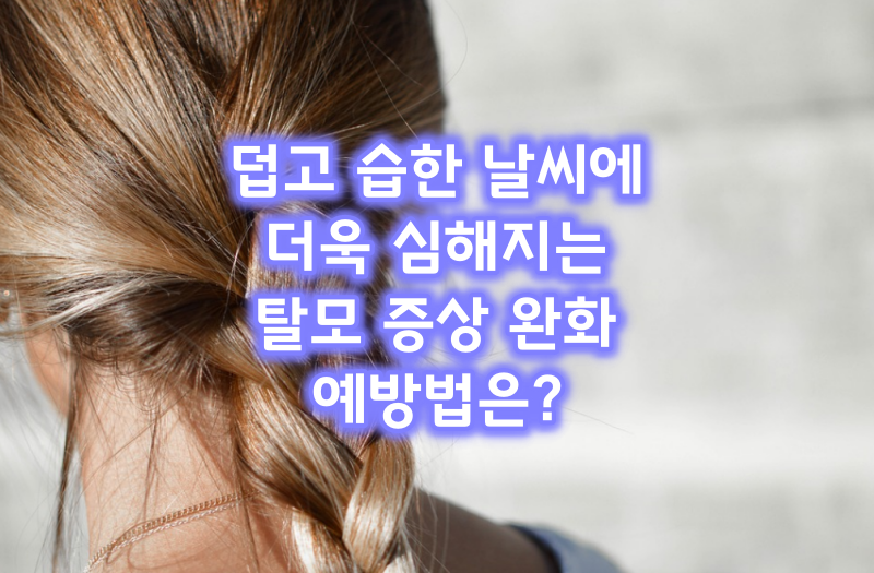 탈모증상완화