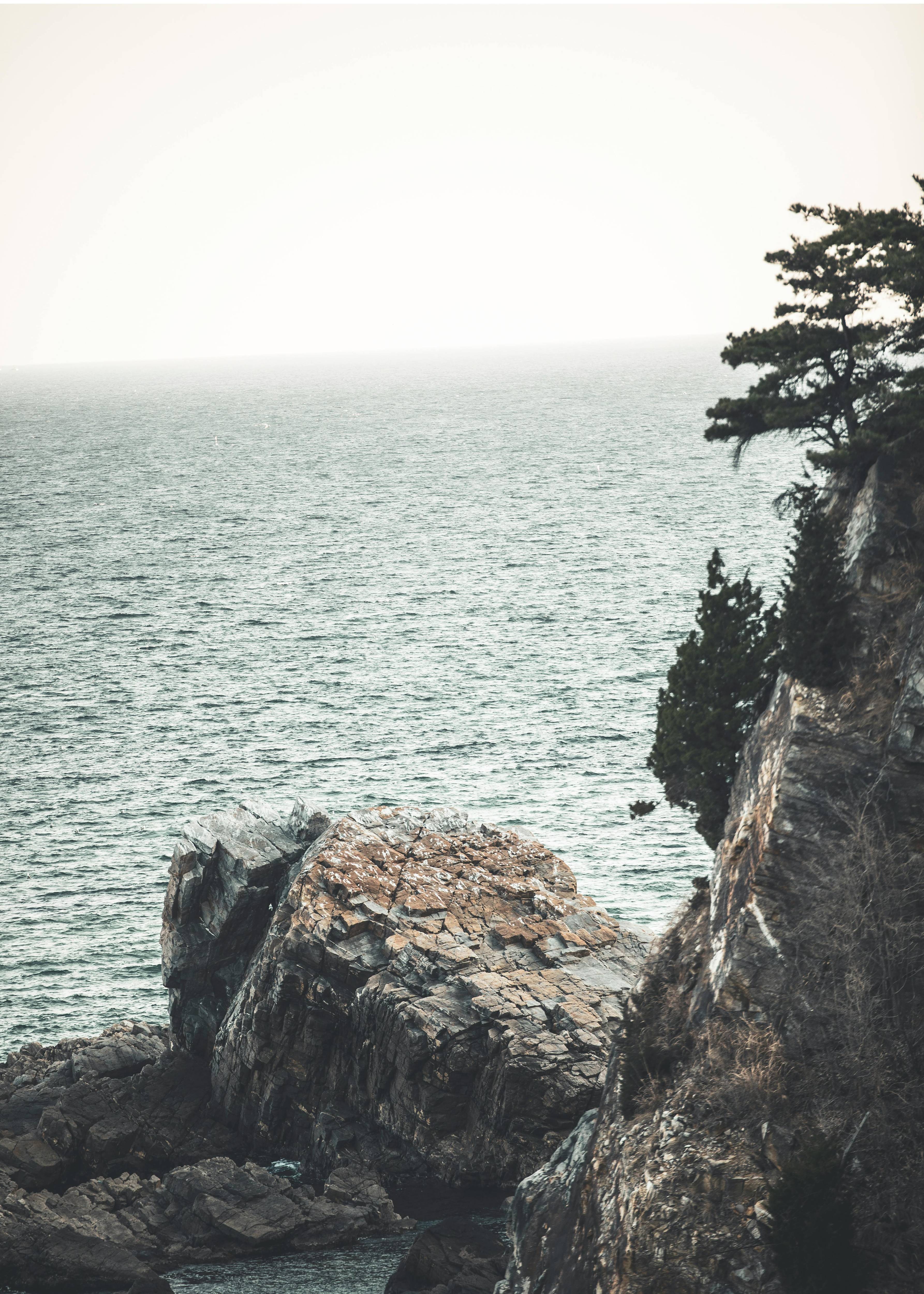 강릉시 모습들 이미지