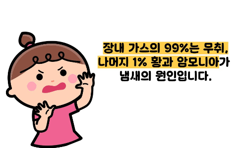 방귀 냄새가 심한 이유