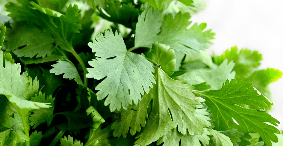 잇몸에 좋은 음식 사진 - 11