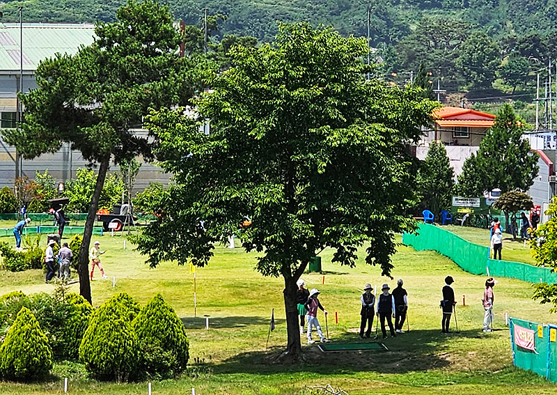 경상북도 성주 피닉스파크골프장 소개